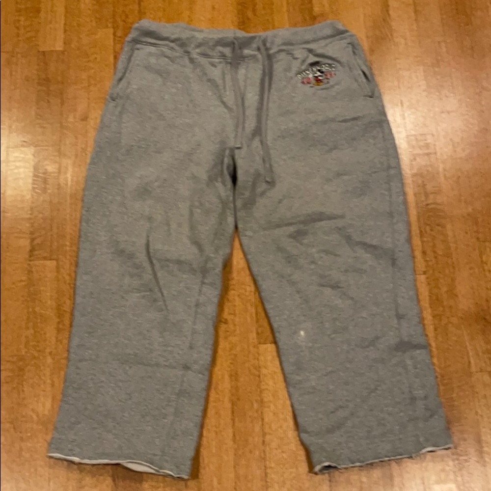 Walt Disney parks women’s sweat pants XL w pockets